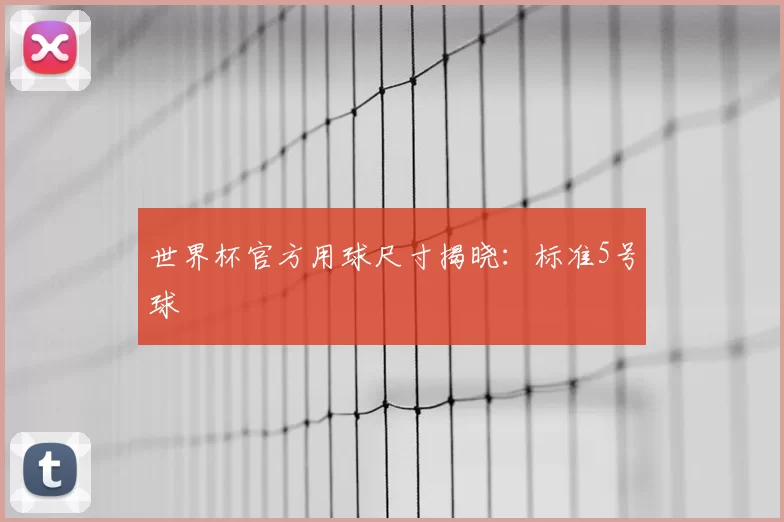 世界杯官方用球尺寸揭晓:标准5号球