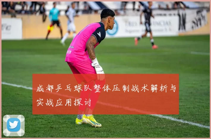成都乒乓球队整体压制战术解析与实战应用探讨