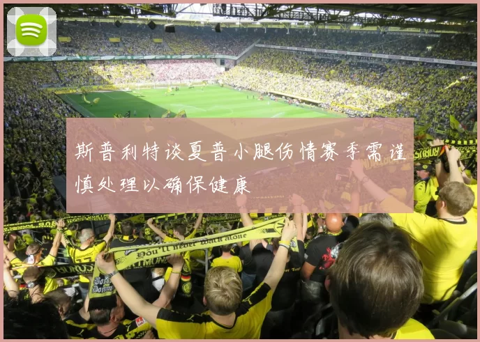 斯普利特谈夏普小腿伤情赛季需谨慎处理以确保健康
