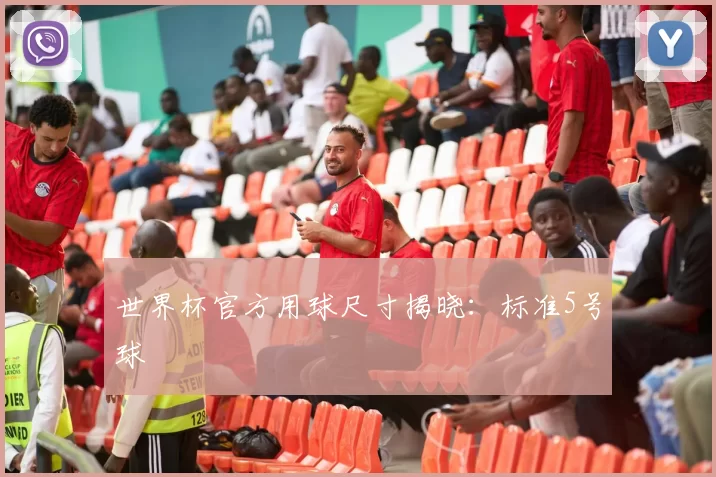 世界杯官方用球尺寸揭晓：标准5号球