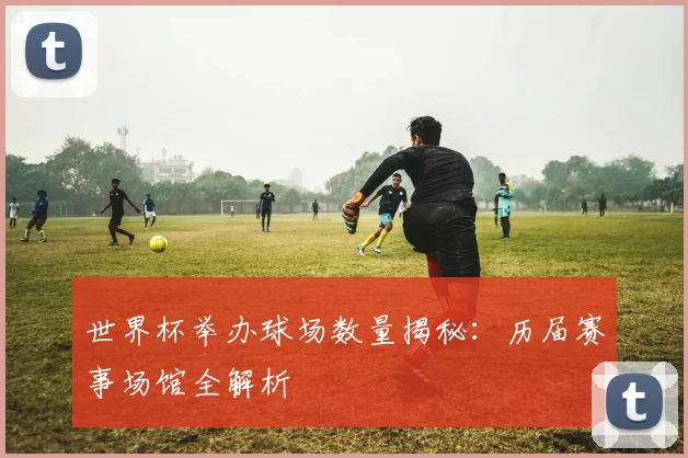 世界杯举办球场数量揭秘：历届赛事场馆全解析