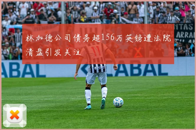 林加德公司债务超156万英镑遭法院清盘引发关注