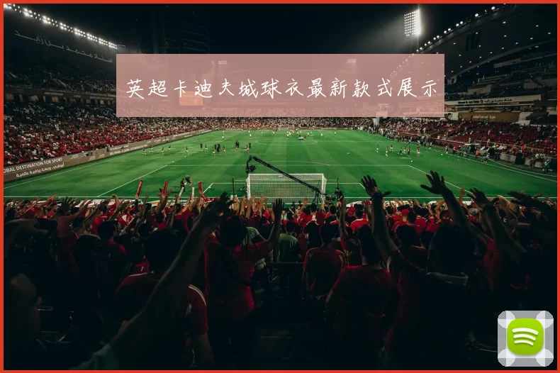 英超卡迪夫城球衣最新款式展示