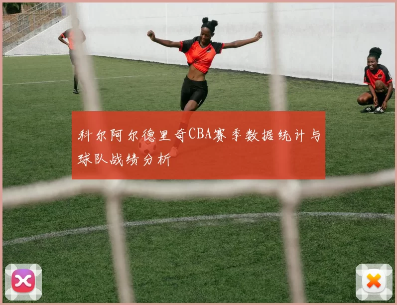 科尔阿尔德里奇CBA赛季数据统计与球队战绩分析
