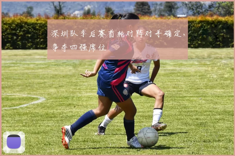 深圳队季后赛首轮对阵对手确定，争夺四强席位